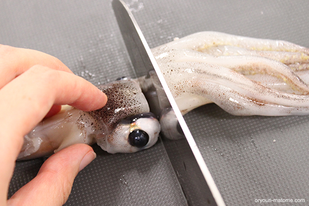 イカのさばき方 筒抜きと開きの2つの方法 お料理まとめ