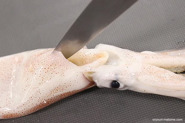 イカを裏返して、胴の真ん中から浮かせるように切れ目を入れて、胴を開く