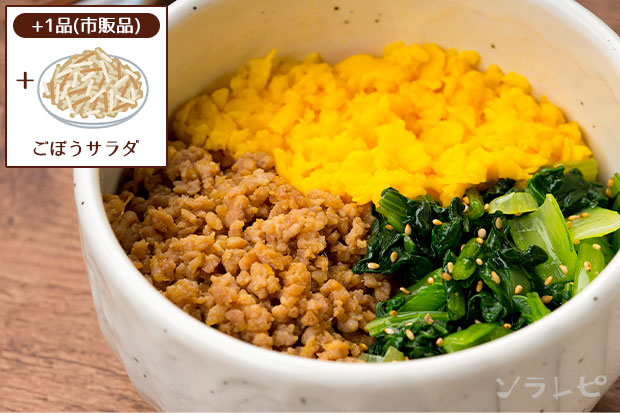 三色丼+ゴボウサラダ