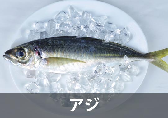 アジ