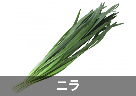 ニラ
