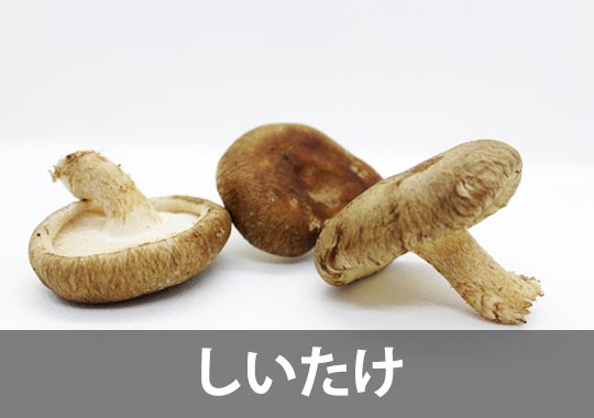 しいたけ