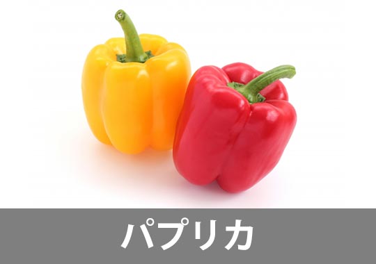 パプリカ