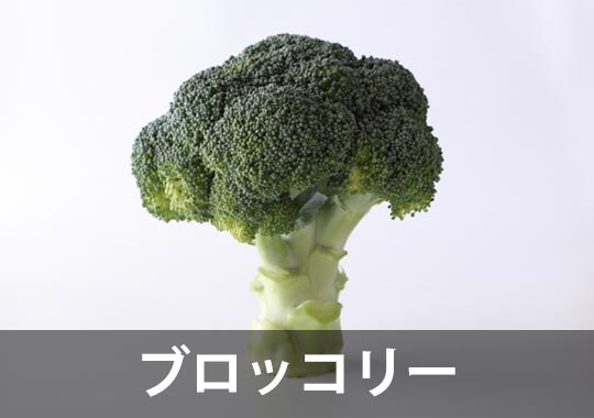 ブロッコリー