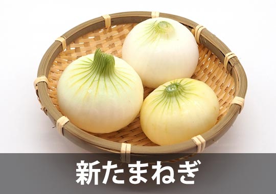 新たまねぎ