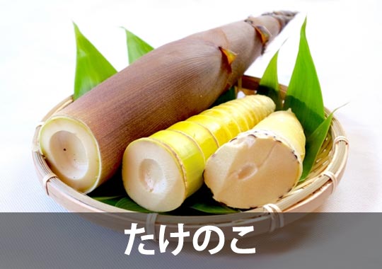 たけのこ