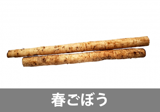 アサリ